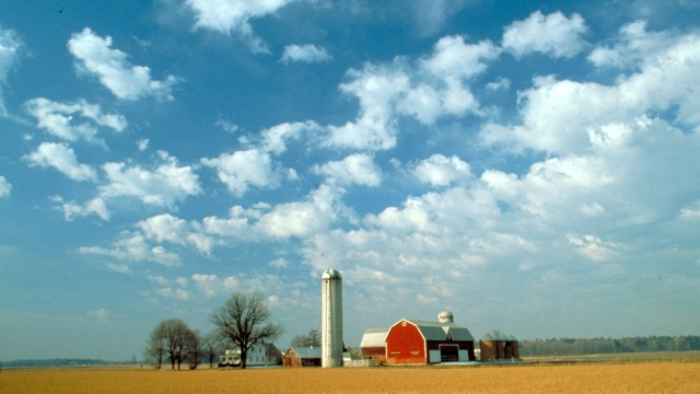 The Secrets of Sustaining a Thriving Coastal Farm - Ruse Global